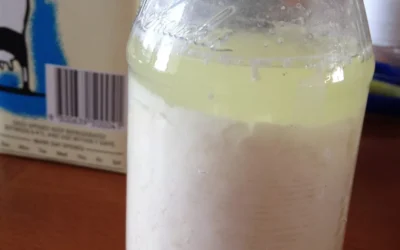 Recipe: Yogurt Casero