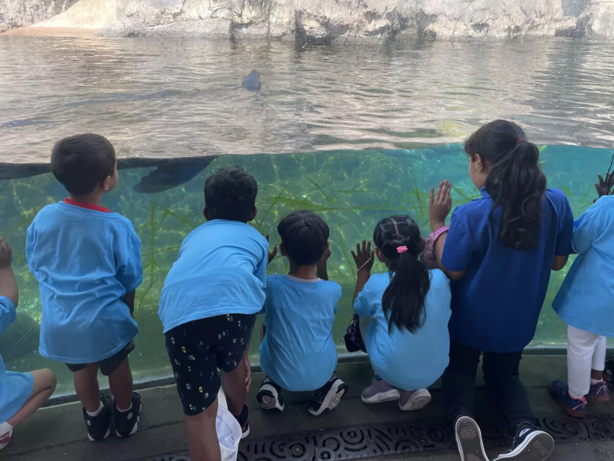 Kids Looking at Underwater Animal