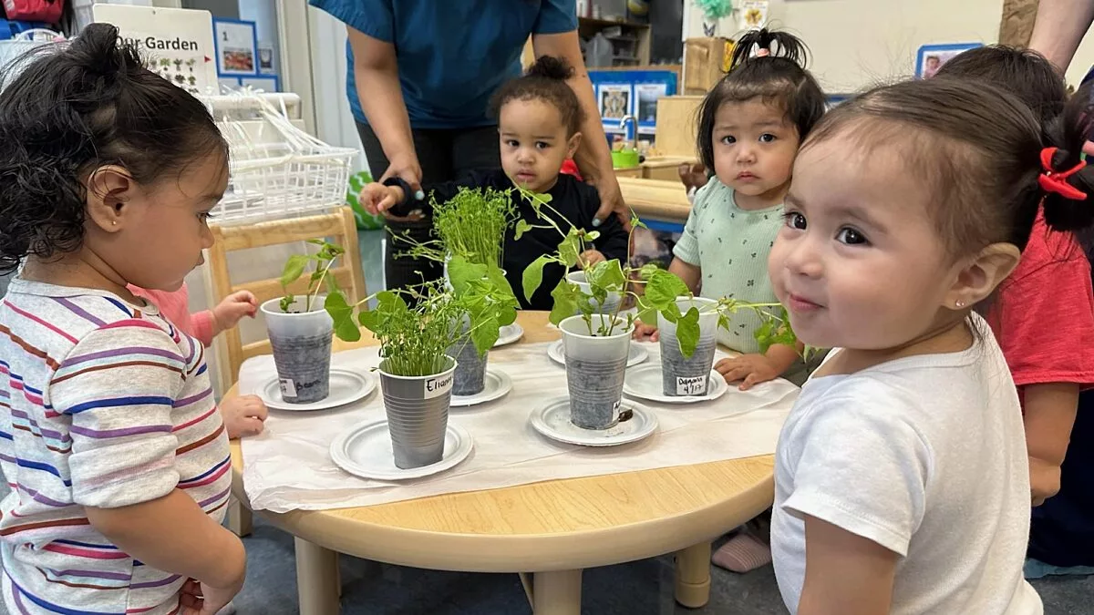 Children at Table with Different Plants in Cups