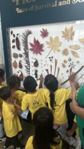 PreK Field Trip. Students Looking at Botanical Samples